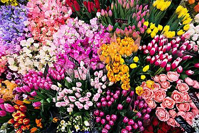 资料显示《孤岛惊魂5》开发预算1.3亿美元左右