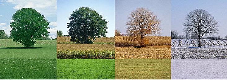 《寂静岭f》15分钟实机演示 美少女大战恐怖女怪